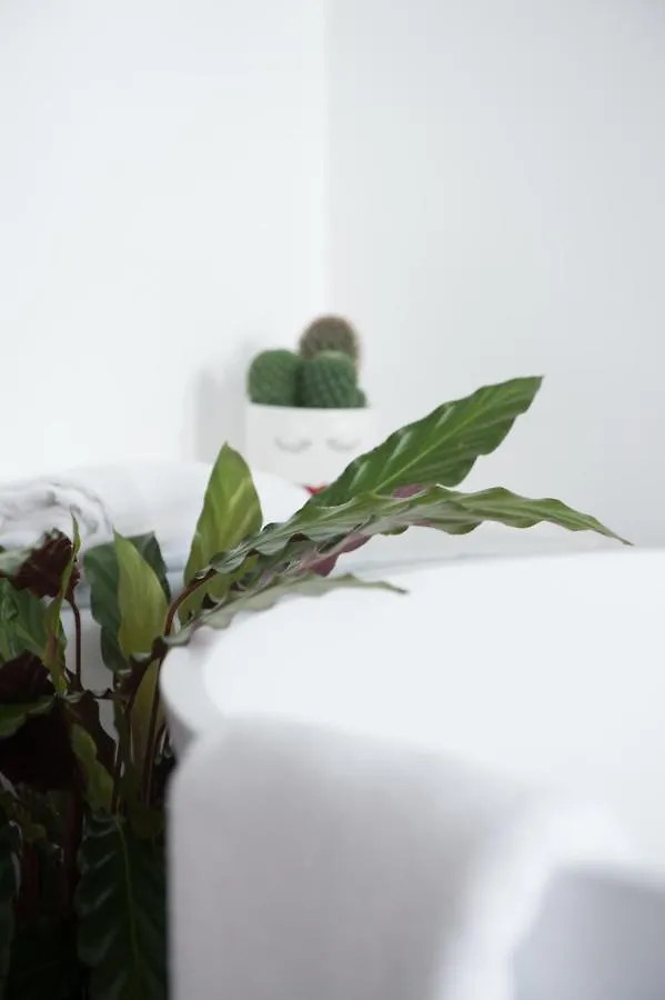 Le Terrazze Del Duca San Pietro Guesthouse Roma 0*,